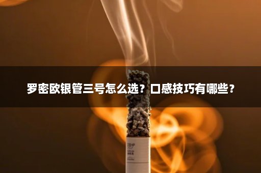 罗密欧银管三号怎么选？口感技巧有哪些？